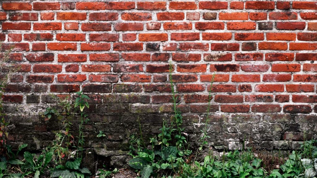 humedad_por_capilaridad_en_pared